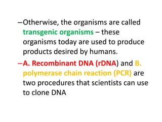 –Otherwise, the organisms are called
transgenic organisms – these
organisms today are used to produce
products desired by humans.
–A. Recombinant DNA (rDNA) and B.
polymerase chain reaction (PCR) are
two procedures that scientists can use
to clone DNA

 