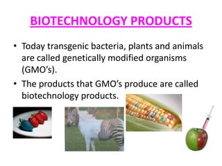 BIOTECHNOLOGY PRODUCTS
• Today transgenic bacteria, plants and animals
are called genetically modified organisms
(GMO’s).
• The products that GMO’s produce are called
biotechnology products.

 