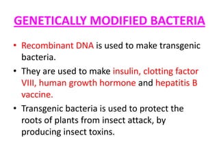 GENETICALLY MODIFIED BACTERIA
• Recombinant DNA is used to make transgenic
bacteria.
• They are used to make insulin, clotting factor
VIII, human growth hormone and hepatitis B
vaccine.
• Transgenic bacteria is used to protect the
roots of plants from insect attack, by
producing insect toxins.

 