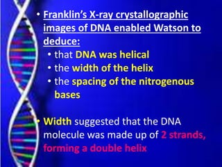 • Franklin’s X-ray crystallographic
images of DNA enabled Watson to
deduce:
• that DNA was helical
• the width of the helix
• the spacing of the nitrogenous
bases
• Width suggested that the DNA
molecule was made up of 2 strands,
forming a double helix
 