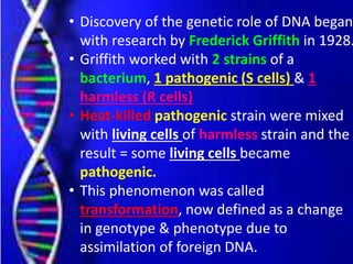 • Discovery of the genetic role of DNA began
with research by Frederick Griffith in 1928.
• Griffith worked with 2 strains of a
bacterium, 1 pathogenic (S cells) & 1
harmless (R cells)
• Heat-killed pathogenic strain were mixed
with living cells of harmless strain and the
result = some living cells became
pathogenic.
• This phenomenon was called
transformation, now defined as a change
in genotype & phenotype due to
assimilation of foreign DNA.
 