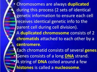 `
• Chromosomes are always duplicated
during this process (2 sets of identical
genetic information to ensure each cell
receives identical genetic info to the
parent cell during cell division).
• A duplicated chromosome consists of 2
chromatids attached to each other by a
centromere.
• Each chromatid consists of several genes.
• Genes consists of a long DNA strand.
• A string of DNA coiled around a few
histones is called a nucleosome.
 