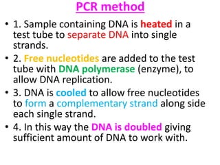 PCR method
• 1. Sample containing DNA is heated in a
test tube to separate DNA into single
strands.
• 2. Free nucleotides are added to the test
tube with DNA polymerase (enzyme), to
allow DNA replication.
• 3. DNA is cooled to allow free nucleotides
to form a complementary strand along side
each single strand.
• 4. In this way the DNA is doubled giving
sufficient amount of DNA to work with.
 