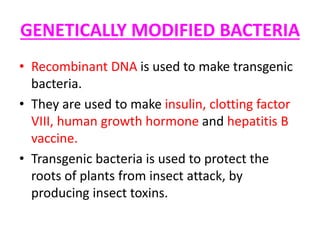 GENETICALLY MODIFIED BACTERIA
• Recombinant DNA is used to make transgenic
bacteria.
• They are used to make insulin, clotting factor
VIII, human growth hormone and hepatitis B
vaccine.
• Transgenic bacteria is used to protect the
roots of plants from insect attack, by
producing insect toxins.
 