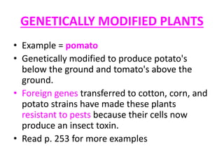 GENETICALLY MODIFIED PLANTS
• Example = pomato
• Genetically modified to produce potato's
below the ground and tomato's above the
ground.
• Foreign genes transferred to cotton, corn, and
potato strains have made these plants
resistant to pests because their cells now
produce an insect toxin.
• Read p. 253 for more examples
 