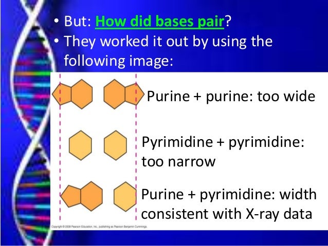 genetics of organisms essay Essay writers wanted genetically modified organism persuasive essay world history homework help online essay writing services india. genetics of organisms essay Essay writers wanted genetically modified organism persuasive essay world history homework help online essay writing services india.