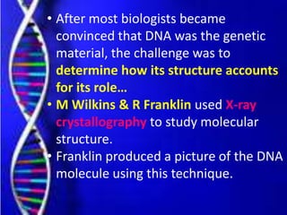 • After most biologists became
convinced that DNA was the genetic
material, the challenge was to
determine how its structure accounts
for its role…
• M Wilkins & R Franklin used X-ray
crystallography to study molecular
structure.
• Franklin produced a picture of the DNA
molecule using this technique.
 