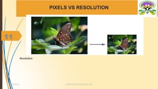 11
PIXELS VS RESOLUTION
Resolution
MUHUMUZA ONAN(B.Sc.CS)
10/28/2024
11
 