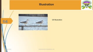 14
Illustration
Gif Illustration
MUHUMUZA ONAN(B.Sc.CS)
10/28/2024
14
 