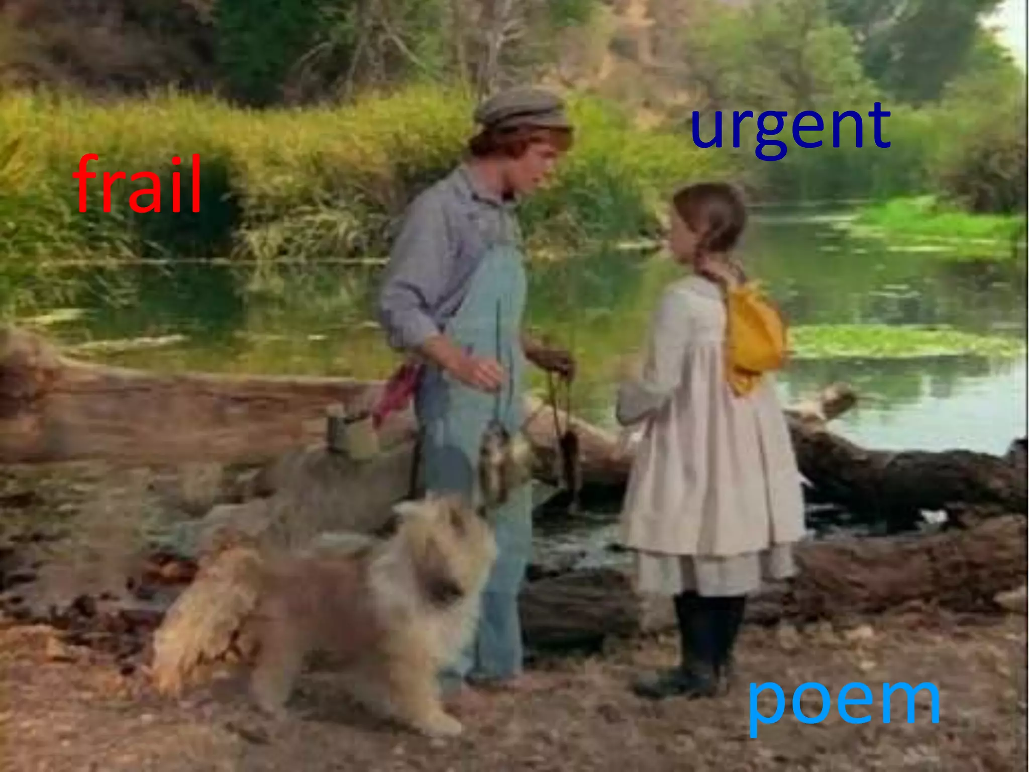 urgent
frail




         poem
 