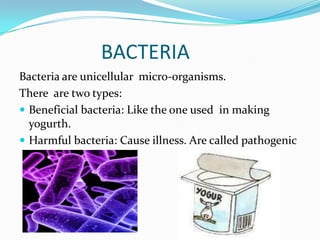 BACTERIA
Bacteria are unicellular micro-organisms.
There are two types:
 Beneficial bacteria: Like the one used in making
yogurth.
 Harmful bacteria: Cause illness. Are called pathogenic

 