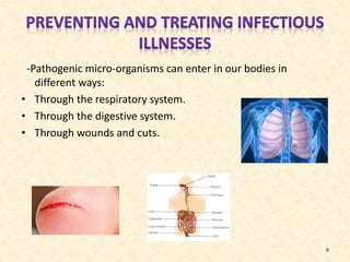 -Pathogenic micro-organisms can enter in our bodies in
different ways:
• Through the respiratory system.
• Through the digestive system.
• Through wounds and cuts.

9

 