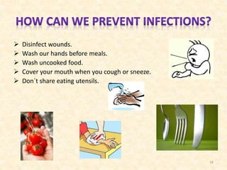 





Disinfect wounds.
Wash our hands before meals.
Wash uncooked food.
Cover your mouth when you cough or sneeze.
Don´t share eating utensils.

18

 