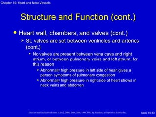 Chapter 19: Heart and Neck Vessels




             Structure and Function (cont.)
           Heart wall, chambers, and valves (cont.)
                SL valves are set between ventricles and arteries
                 (cont.)
                  • No valves are present between vena cava and right
                       atrium, or between pulmonary veins and left atrium, for
                       this reason
                               Abnormally high pressure in left side of heart gives a
                                person symptoms of pulmonary congestion
                               Abnormally high pressure in right side of heart shows in
                                neck veins and abdomen




                   Elsevier items and derived items © 2012, 2008, 2004, 2000, 1996, 1992 by Saunders, an imprint of Elsevier Inc.   Slide 19-13
 