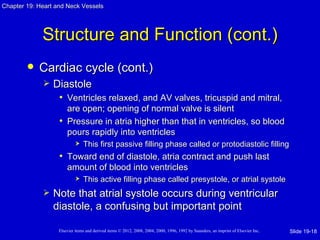 Chapter 19: Heart and Neck Vessels




             Structure and Function (cont.)
           Cardiac cycle (cont.)
                Diastole
                  • Ventricles relaxed, and AV valves, tricuspid and mitral,
                     are open; opening of normal valve is silent
                   • Pressure in atria higher than that in ventricles, so blood
                     pours rapidly into ventricles
                               This first passive filling phase called or protodiastolic filling
                   • Toward end of diastole, atria contract and push last
                       amount of blood into ventricles
                               This active filling phase called presystole, or atrial systole
                Note that atrial systole occurs during ventricular
                 diastole, a confusing but important point

                   Elsevier items and derived items © 2012, 2008, 2004, 2000, 1996, 1992 by Saunders, an imprint of Elsevier Inc.   Slide 19-18
 