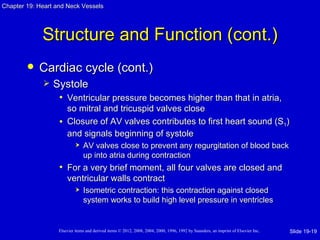 Chapter 19: Heart and Neck Vessels




             Structure and Function (cont.)
           Cardiac cycle (cont.)
                Systole
                  • Ventricular pressure becomes higher than that in atria,
                     so mitral and tricuspid valves close
                   • Closure of AV valves contributes to first heart sound (S1)
                     and signals beginning of systole
                               AV valves close to prevent any regurgitation of blood back
                                up into atria during contraction
                   • For a very brief moment, all four valves are closed and
                       ventricular walls contract
                               Isometric contraction: this contraction against closed
                                system works to build high level pressure in ventricles


                   Elsevier items and derived items © 2012, 2008, 2004, 2000, 1996, 1992 by Saunders, an imprint of Elsevier Inc.   Slide 19-19
 