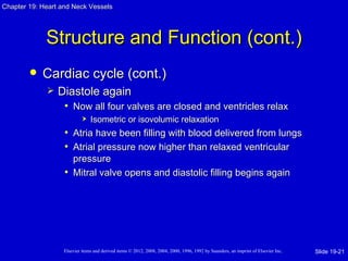 Chapter 19: Heart and Neck Vessels




             Structure and Function (cont.)
           Cardiac cycle (cont.)
                Diastole again
                  • Now all four valves are closed and ventricles relax
                               Isometric or isovolumic relaxation
                   • Atria have been filling with blood delivered from lungs
                   • Atrial pressure now higher than relaxed ventricular
                     pressure
                   • Mitral valve opens and diastolic filling begins again




                   Elsevier items and derived items © 2012, 2008, 2004, 2000, 1996, 1992 by Saunders, an imprint of Elsevier Inc.   Slide 19-21
 