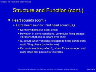 Chapter 19: Heart and Neck Vessels




             Structure and Function (cont.)
           Heart sounds (cont.)
                Extra heart sounds: third heart sound (S3)
                  • Normally diastole is silent event
                  • However, in some conditions, ventricular filling creates
                     vibrations that can be heard over chest
                   • S3 occurs when ventricles resistant to filling during early
                     rapid filling phase (protodiastole)
                   • Occurs immediately after S2, when AV valves open and
                     atrial blood first pours into ventricles




                   Elsevier items and derived items © 2012, 2008, 2004, 2000, 1996, 1992 by Saunders, an imprint of Elsevier Inc.   Slide 19-28
 