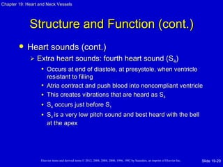 Chapter 19: Heart and Neck Vessels




             Structure and Function (cont.)
           Heart sounds (cont.)
                Extra heart sounds: fourth heart sound (S4)
                  • Occurs at end of diastole, at presystole, when ventricle
                     resistant to filling
                   • Atria contract and push blood into noncompliant ventricle
                   • This creates vibrations that are heard as S4
                   • S4 occurs just before S1
                   • S4 is a very low pitch sound and best heard with the bell
                       at the apex




                   Elsevier items and derived items © 2012, 2008, 2004, 2000, 1996, 1992 by Saunders, an imprint of Elsevier Inc.   Slide 19-29
 