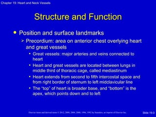 Chapter 19: Heart and Neck Vessels




                         Structure and Function
           Position and surface landmarks
                Precordium: area on anterior chest overlying heart
                 and great vessels
                  • Great vessels: major arteries and veins connected to
                     heart
                   • Heart and great vessels are located between lungs in
                     middle third of thoracic cage, called mediastinum
                   • Heart extends from second to fifth intercostal space and
                     from right border of sternum to left midclavicular line
                   • The “top” of heart is broader base, and “bottom” is the
                     apex, which points down and to left



                   Elsevier items and derived items © 2012, 2008, 2004, 2000, 1996, 1992 by Saunders, an imprint of Elsevier Inc.   Slide 19-3
 