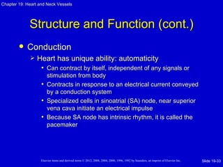 Chapter 19: Heart and Neck Vessels




             Structure and Function (cont.)
           Conduction
                Heart has unique ability: automaticity
                  • Can contract by itself, independent of any signals or
                     stimulation from body
                   • Contracts in response to an electrical current conveyed
                     by a conduction system
                   • Specialized cells in sinoatrial (SA) node, near superior
                     vena cava initiate an electrical impulse
                   • Because SA node has intrinsic rhythm, it is called the
                     pacemaker




                   Elsevier items and derived items © 2012, 2008, 2004, 2000, 1996, 1992 by Saunders, an imprint of Elsevier Inc.   Slide 19-33
 