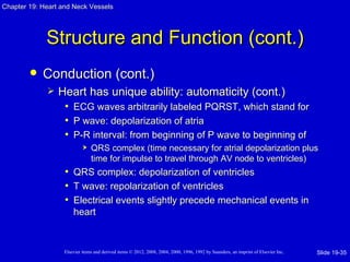 Chapter 19: Heart and Neck Vessels




             Structure and Function (cont.)
           Conduction (cont.)
                Heart has unique ability: automaticity (cont.)
                  • ECG waves arbitrarily labeled PQRST, which stand for
                  • P wave: depolarization of atria
                  • P-R interval: from beginning of P wave to beginning of
                               QRS complex (time necessary for atrial depolarization plus
                                time for impulse to travel through AV node to ventricles)
                   •   QRS complex: depolarization of ventricles
                   •   T wave: repolarization of ventricles
                   •   Electrical events slightly precede mechanical events in
                       heart


                   Elsevier items and derived items © 2012, 2008, 2004, 2000, 1996, 1992 by Saunders, an imprint of Elsevier Inc.   Slide 19-35
 