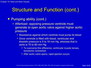 Chapter 19: Heart and Neck Vessels




             Structure and Function (cont.)
           Pumping ability (cont.)
                Afterload: opposing pressure ventricle must
                 generate to open aortic valve against higher aortic
                 pressure
                  • Resistance against which ventricle must pump its blood
                  • Once ventricle is filled with blood, ventricular end
                       diastolic pressure is 5 to 10 mm Hg, whereas that in
                       aorta is 70 to 80 mm Hg.
                               To overcome this difference, ventricular muscle tenses,
                                isovolumic contraction
                               After aortic valve opens, rapid ejection occurs



                   Elsevier items and derived items © 2012, 2008, 2004, 2000, 1996, 1992 by Saunders, an imprint of Elsevier Inc.   Slide 19-38
 