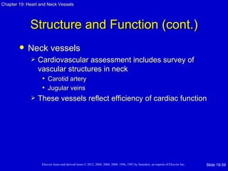 Chapter 19: Heart and Neck Vessels




             Structure and Function (cont.)
           Neck vessels
                Cardiovascular assessment includes survey of
                 vascular structures in neck
                  • Carotid artery
                  • Jugular veins
                These vessels reflect efficiency of cardiac function




                   Elsevier items and derived items © 2012, 2008, 2004, 2000, 1996, 1992 by Saunders, an imprint of Elsevier Inc.   Slide 19-39
 