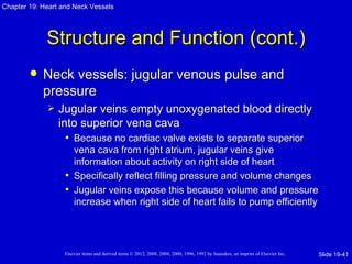 Chapter 19: Heart and Neck Vessels




             Structure and Function (cont.)
           Neck vessels: jugular venous pulse and
            pressure
                Jugular veins empty unoxygenated blood directly
                 into superior vena cava
                   • Because no cardiac valve exists to separate superior
                     vena cava from right atrium, jugular veins give
                     information about activity on right side of heart
                   • Specifically reflect filling pressure and volume changes
                   • Jugular veins expose this because volume and pressure
                     increase when right side of heart fails to pump efficiently




                   Elsevier items and derived items © 2012, 2008, 2004, 2000, 1996, 1992 by Saunders, an imprint of Elsevier Inc.   Slide 19-41
 