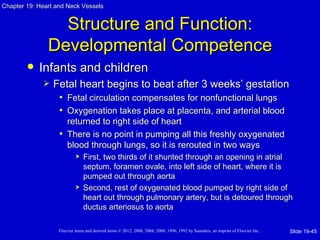 Chapter 19: Heart and Neck Vessels


                 Structure and Function:
               Developmental Competence
           Infants and children
                Fetal heart begins to beat after 3 weeks’ gestation
                  • Fetal circulation compensates for nonfunctional lungs
                  • Oxygenation takes place at placenta, and arterial blood
                     returned to right side of heart
                   • There is no point in pumping all this freshly oxygenated
                     blood through lungs, so it is rerouted in two ways
                               First, two thirds of it shunted through an opening in atrial
                                septum, foramen ovale, into left side of heart, where it is
                                pumped out through aorta
                               Second, rest of oxygenated blood pumped by right side of
                                heart out through pulmonary artery, but is detoured through
                                ductus arteriosus to aorta

                   Elsevier items and derived items © 2012, 2008, 2004, 2000, 1996, 1992 by Saunders, an imprint of Elsevier Inc.   Slide 19-45
 
