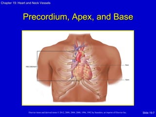 Chapter 19: Heart and Neck Vessels




               Precordium, Apex, and Base




                   Elsevier items and derived items © 2012, 2008, 2004, 2000, 1996, 1992 by Saunders, an imprint of Elsevier Inc.   Slide 19-7
 