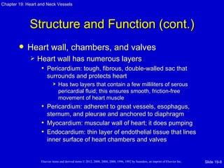 Chapter 19: Heart and Neck Vessels




             Structure and Function (cont.)
           Heart wall, chambers, and valves
                Heart wall has numerous layers
                  • Pericardium: tough, fibrous, double-walled sac that
                       surrounds and protects heart
                               Has two layers that contain a few milliliters of serous
                                pericardial fluid; this ensures smooth, friction-free
                                movement of heart muscle
                   • Pericardium: adherent to great vessels, esophagus,
                     sternum, and pleurae and anchored to diaphragm
                   • Myocardium: muscular wall of heart; it does pumping
                   • Endocardium: thin layer of endothelial tissue that lines
                     inner surface of heart chambers and valves


                   Elsevier items and derived items © 2012, 2008, 2004, 2000, 1996, 1992 by Saunders, an imprint of Elsevier Inc.   Slide 19-8
 