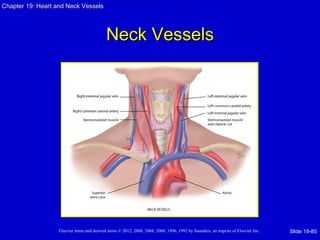 Chapter 19: Heart and Neck Vessels




                                            Neck Vessels




                   Elsevier items and derived items © 2012, 2008, 2004, 2000, 1996, 1992 by Saunders, an imprint of Elsevier Inc.   Slide 19-85
 