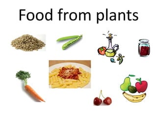 Food from plants
 