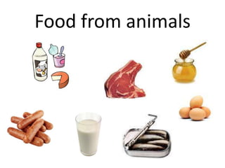 Food from animals
 