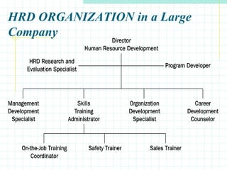 HRD ORGANIZATION in a Large
Company
 