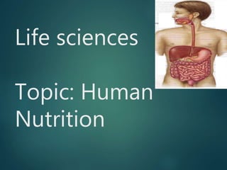 Life sciences
Topic: Human
Nutrition
 