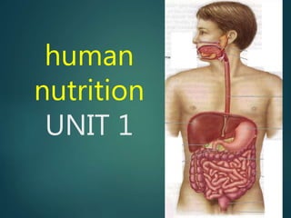 human
nutrition
UNIT 1
 