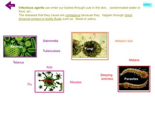 Parasites
Fungi
Viruses
Bacteria
Infectious agents can enter our bodies through cuts in the skin, contaminated water or
food, air...
The diseases that they cause are contagious because they happen through direct
physical contact or bodily fluids such as blood or saliva.
Malaria
Sleeping
sickness
Salmonella Athlete's foot
Aids
Flu
Tetanus
Measles
Tuberculosis
Back
outline
 