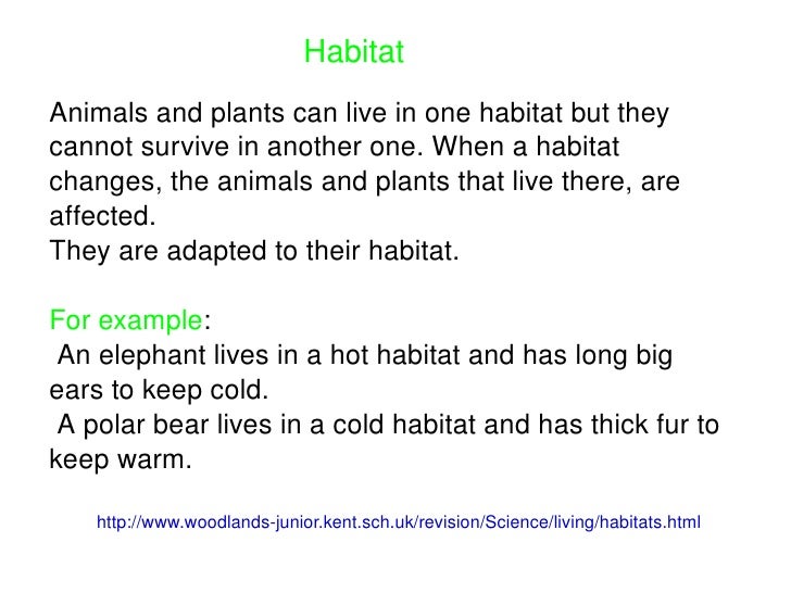 Www woodlands junior kent sch uk homework habitats html