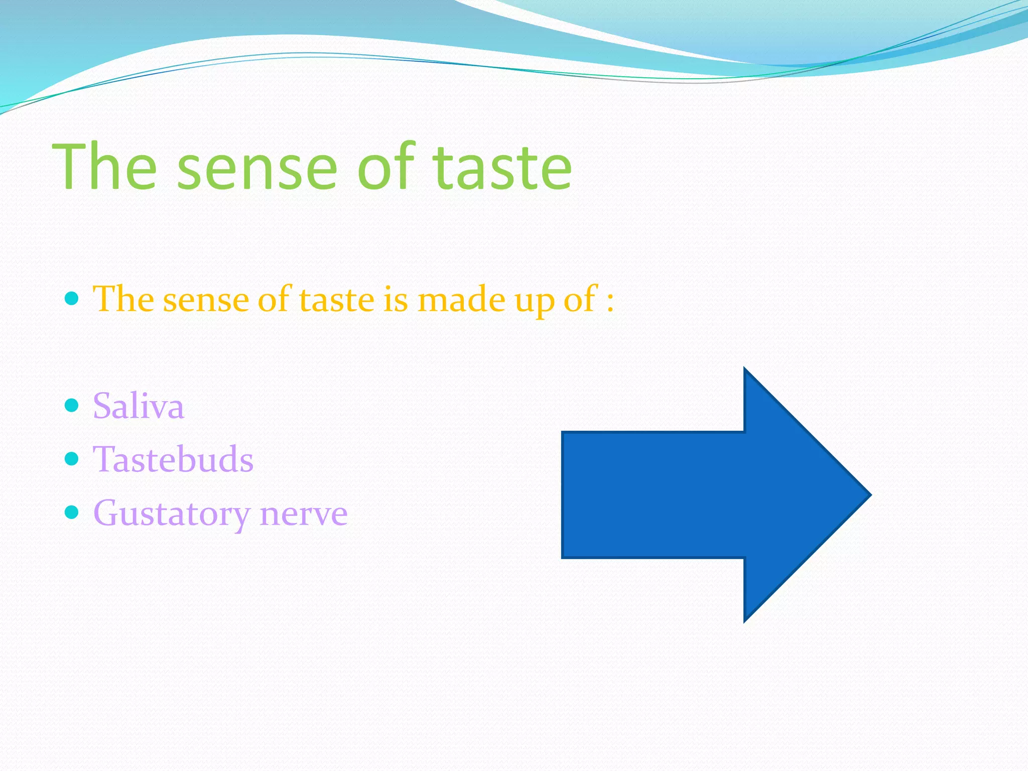 The sense of taste
The sense of taste is made up of :
Saliva
Tastebuds
Gustatory nerve