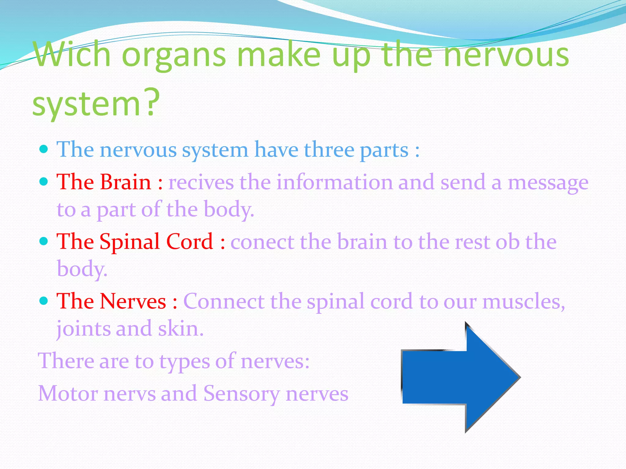 Wich organs make up the nervous
system?
The nervous system have three parts :
The Brain : recives the information and send a message
to a part of the body.
The Spinal Cord : conect the brain to the rest ob the
body.
The Nerves : Connect the spinal cord to our muscles,
joints and skin.
There are to types of nerves:
Motor nervs and Sensory nerves