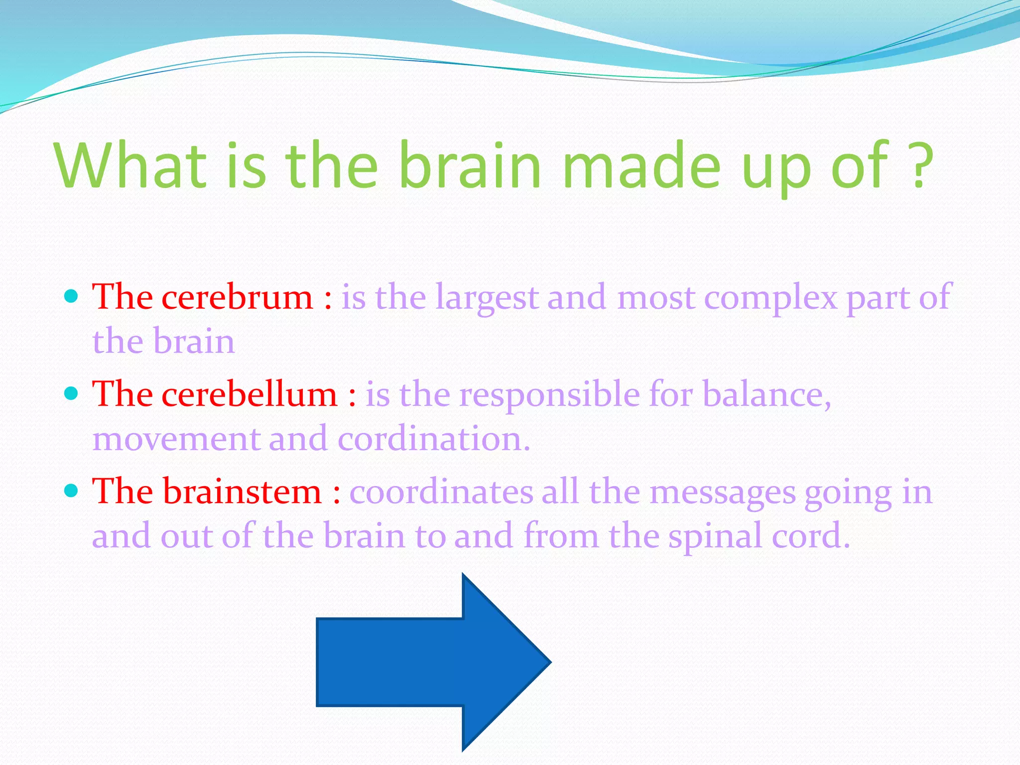 What is the brain made up of ?
The cerebrum : is the largest and most complex part of
the brain
The cerebellum : is the responsible for balance,
movement and cordination.
The brainstem : coordinates all the messages going in
and out of the brain to and from the spinal cord.