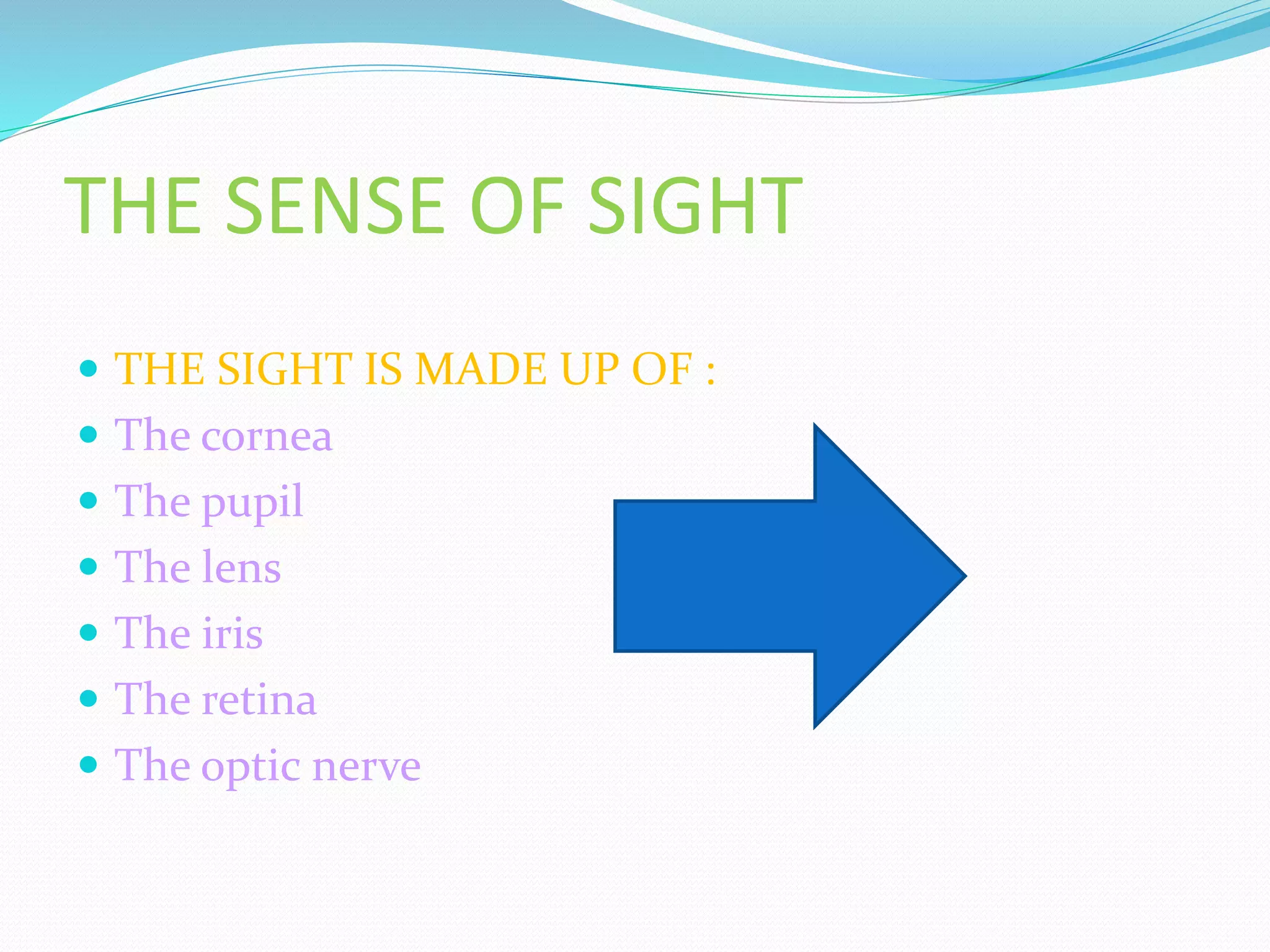 THE SENSE OF SIGHT
THE SIGHT IS MADE UP OF :
The cornea
The pupil
The lens
The iris
The retina
The optic nerve