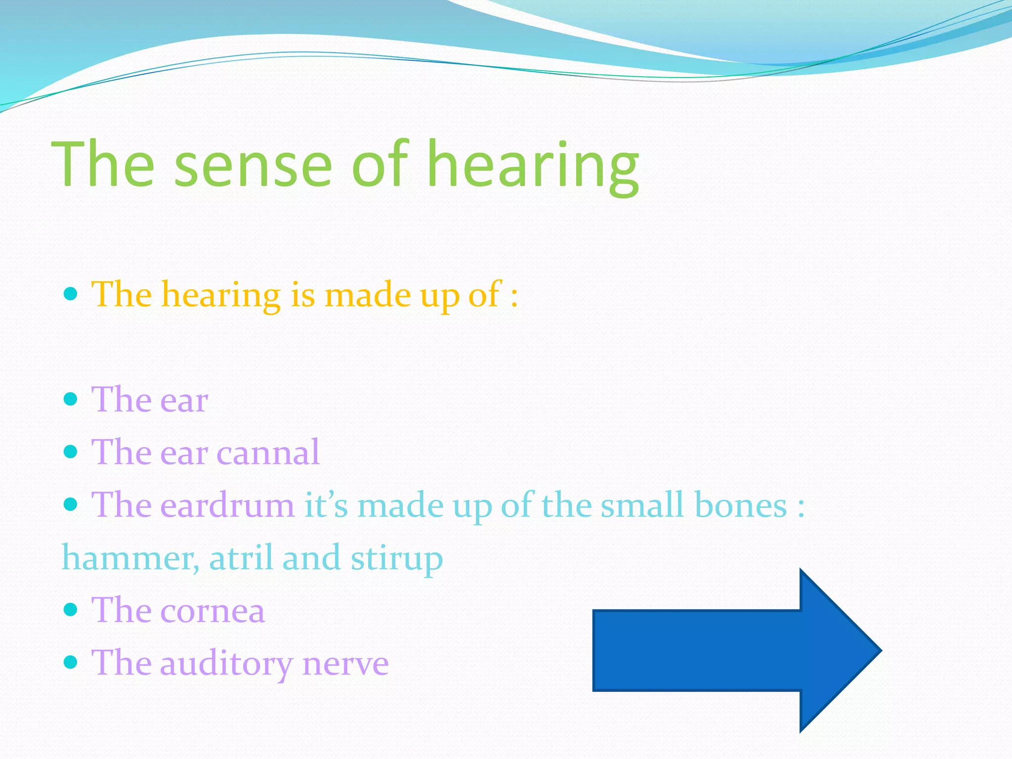 The sense of hearing
The hearing is made up of :
The ear
The ear cannal
The eardrum it’s made up of the small bones :
hammer, atril and stirup
The cornea
The auditory nerve