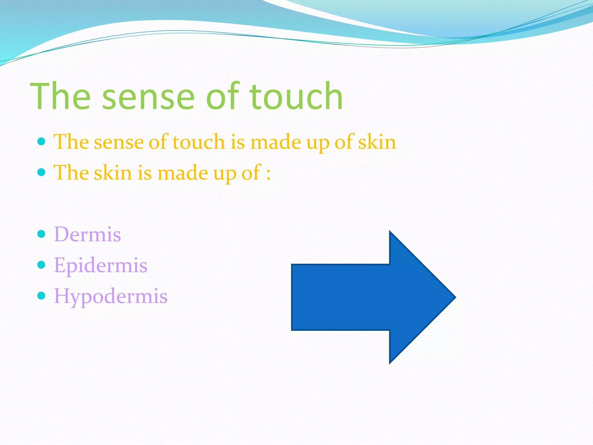 The sense of touch
The sense of touch is made up of skin
The skin is made up of :
Dermis
Epidermis
Hypodermis