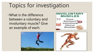 Topics for investigation
◦What is the difference
between a voluntary and
involuntary muscle? Give
an example of each.
 