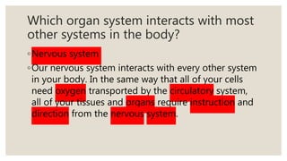 Which organ system interacts with most
other systems in the body?
◦Nervous system
◦Our nervous system interacts with every other system
in your body. In the same way that all of your cells
need oxygen transported by the circulatory system,
all of your tissues and organs require instruction and
direction from the nervous system.
 