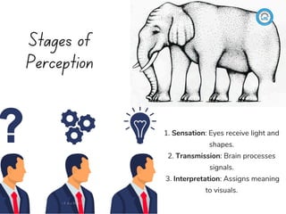 Visual Perception Definiations Introduction to Visual Perception & Design | PDF