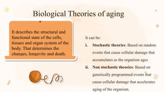 Biological Theories of aging
It can be:
i. Stochastic theories: Based on random
events that cause cellular damage that
accumulates as the organism ages
ii. Non stochastic theories: Based on
genetically programmed events that
cause cellular damage that accelerates
aging of the organism.
It describes the structural and
functional state of the cells,
tissues and organ system of the
body. That determines the
changes, longevity and death.
 